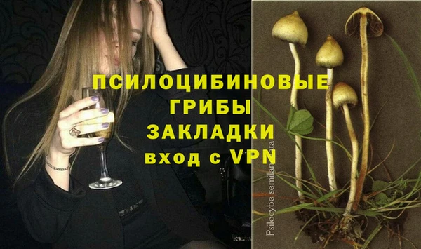 ГАЛЛЮЦИНОГЕННЫЕ ГРИБЫ Балахна